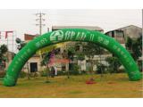 Inflatable arch